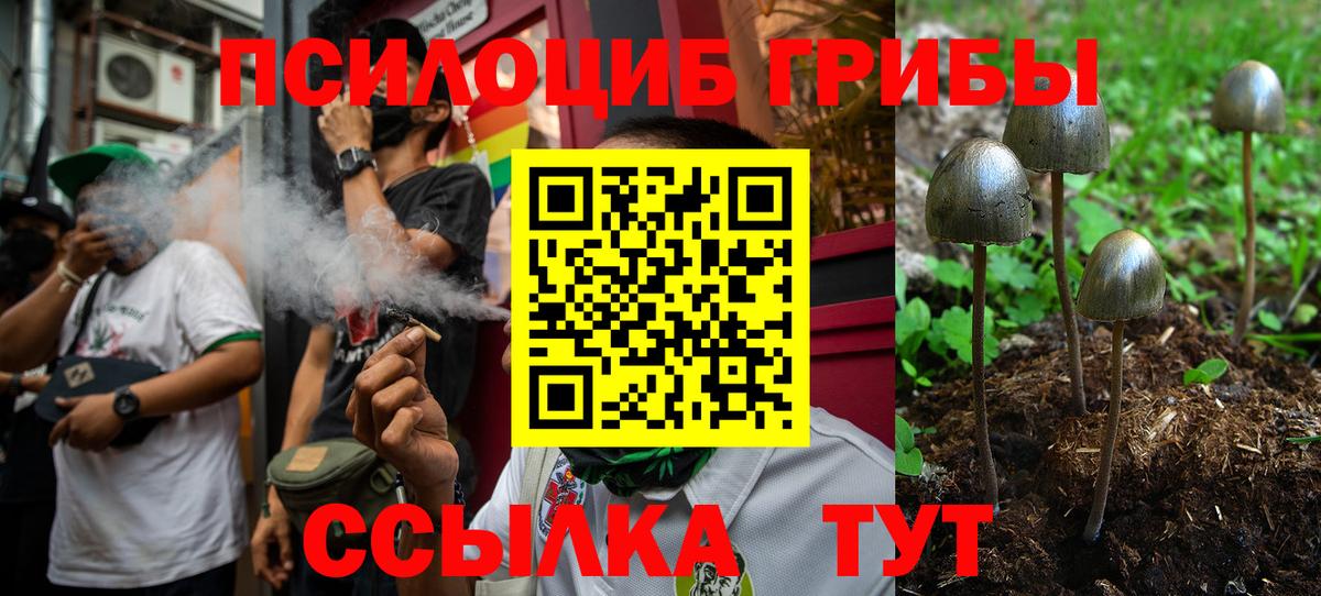Галлюциногенные грибы GOLDEN TEACHER  Вход с VPN  Янаул  Псилоцибиновые грибы Psilocybe 