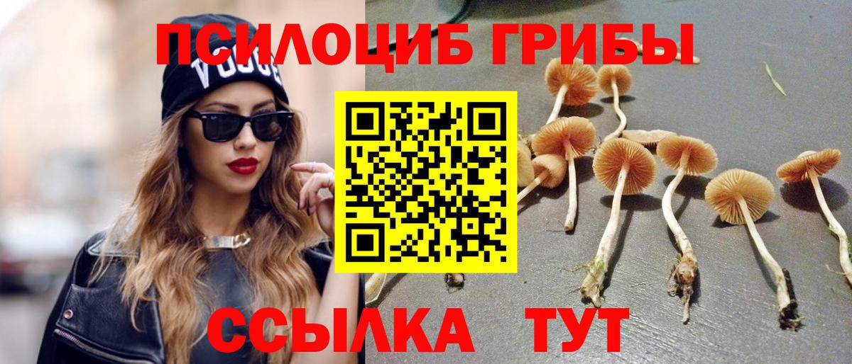 Псилоцибиновые грибы MAGIC MUSHROOMS Янаул